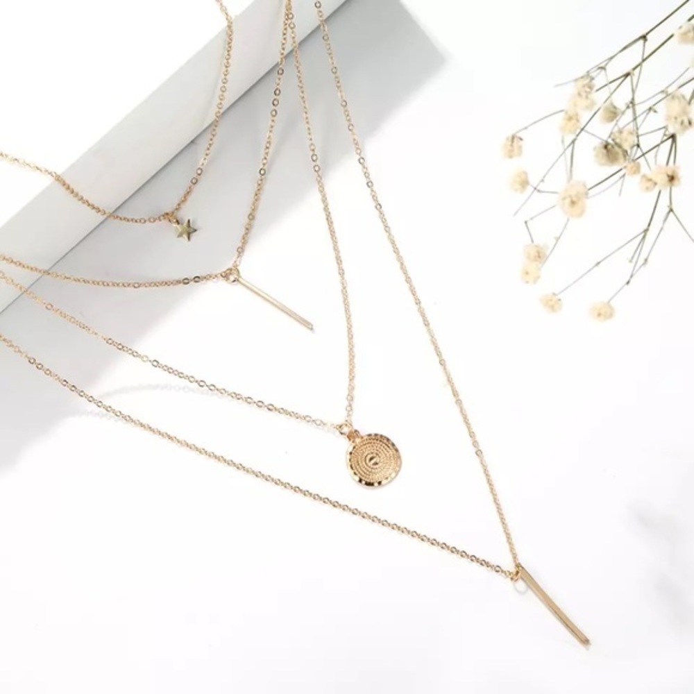Multi Layer Coin Bar Necklace - Picture 4 of 4
